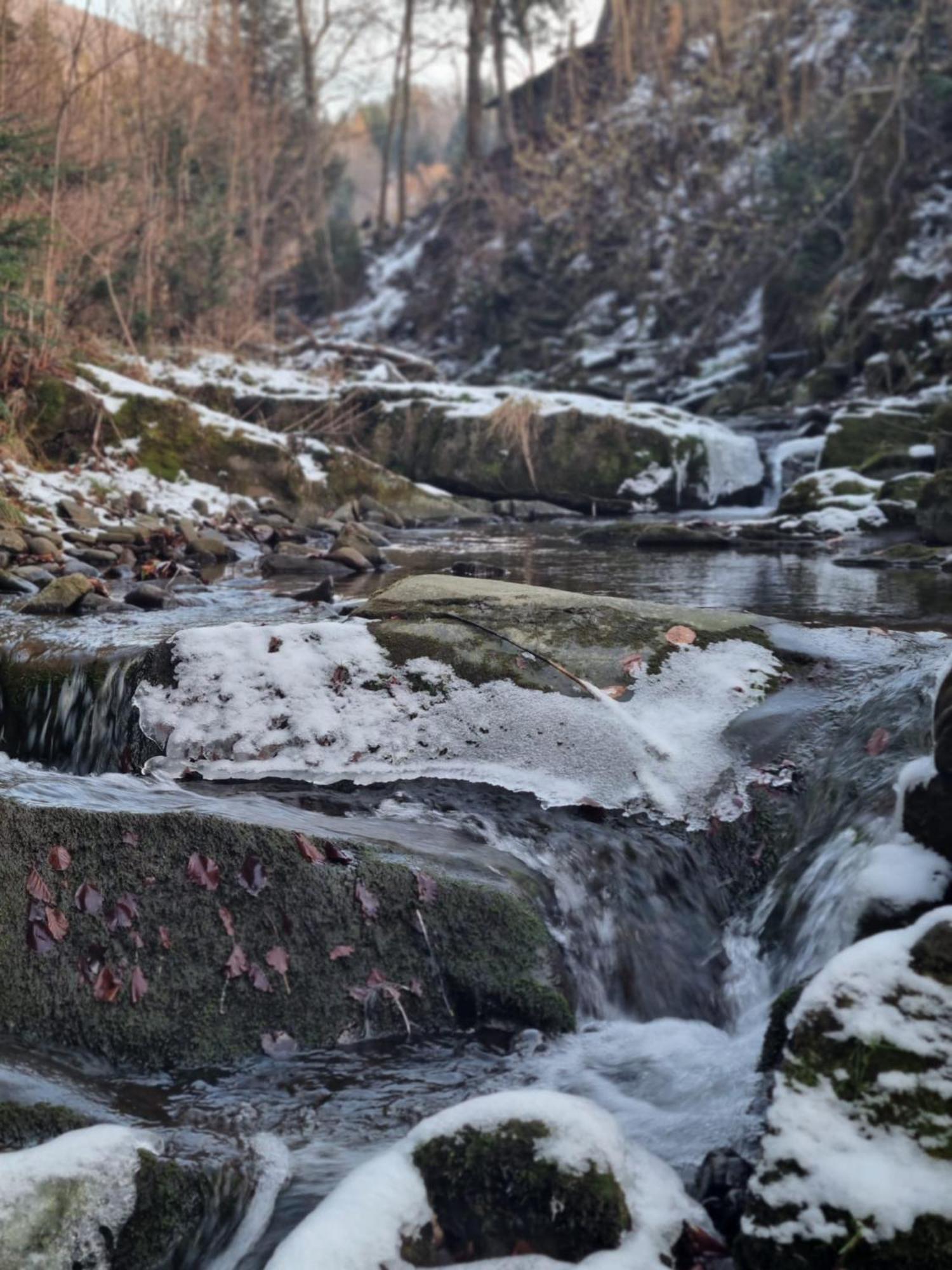 Agroturystyka Oblica Zawoja Exteriör bild