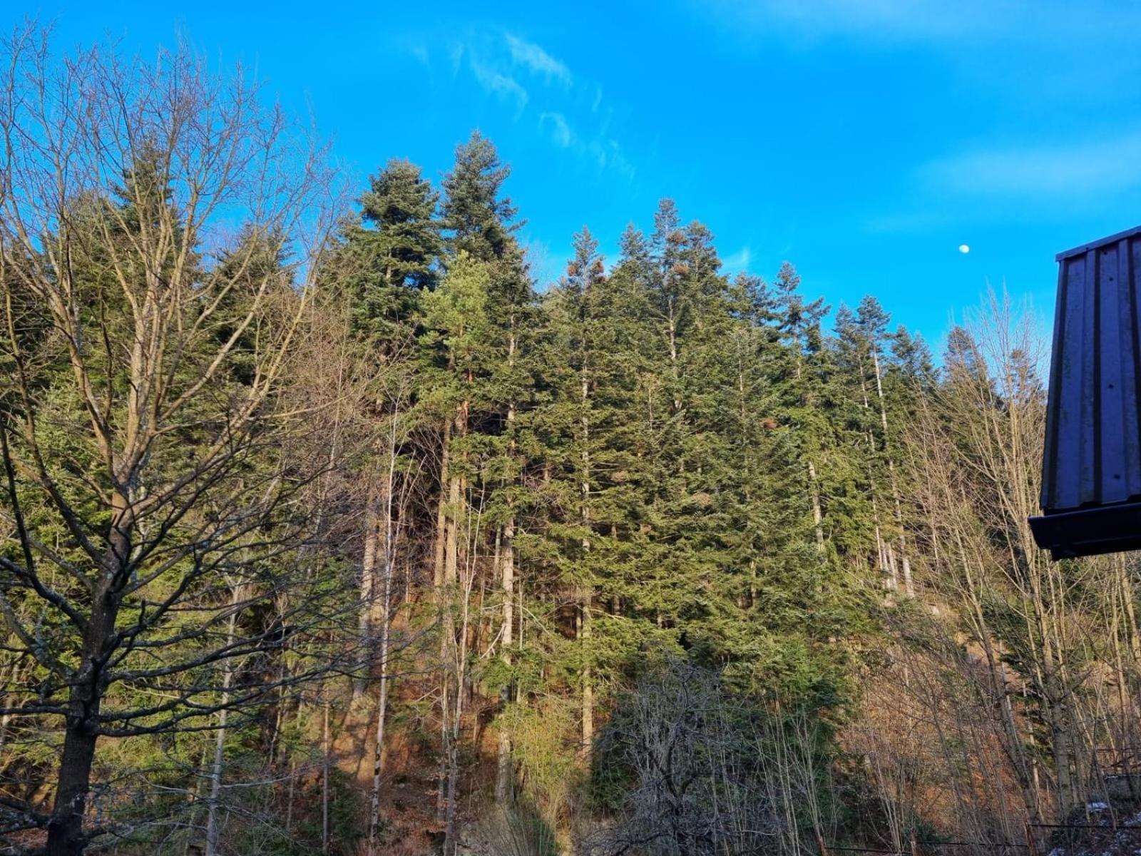 Agroturystyka Oblica Zawoja Exteriör bild