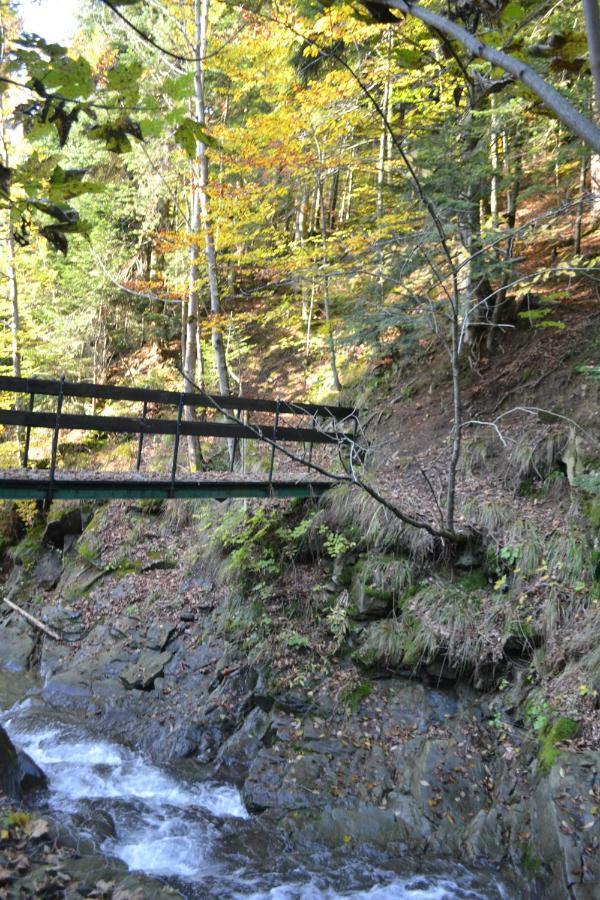 Agroturystyka Oblica Zawoja Exteriör bild