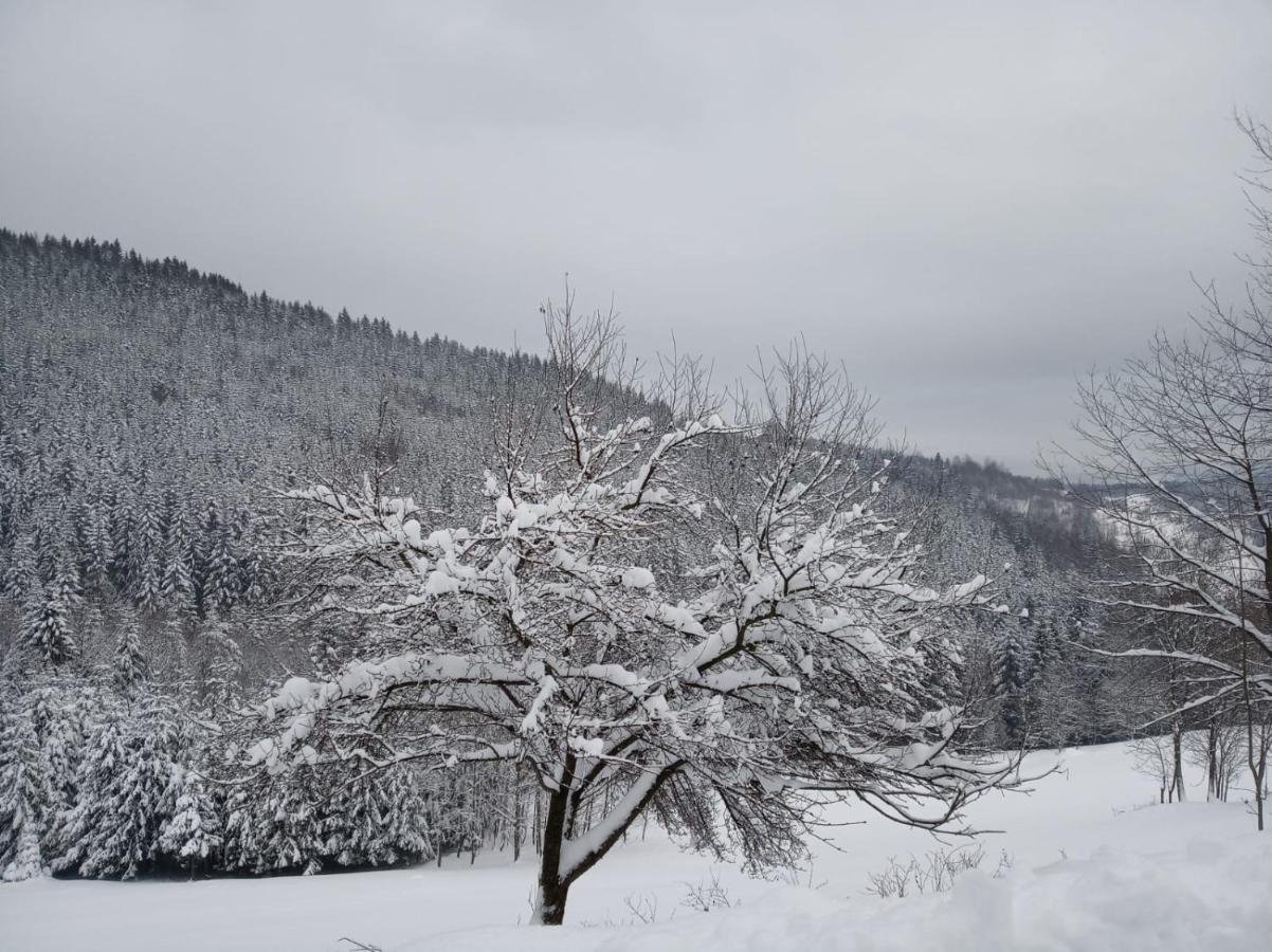 Agroturystyka Oblica Zawoja Exteriör bild